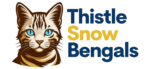 thistledown-bengals.com
