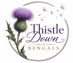 thistledown-bengals.com